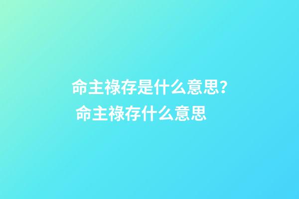 命主祿存是什么意思？ 命主祿存什么意思-第1張-觀點-玄機派